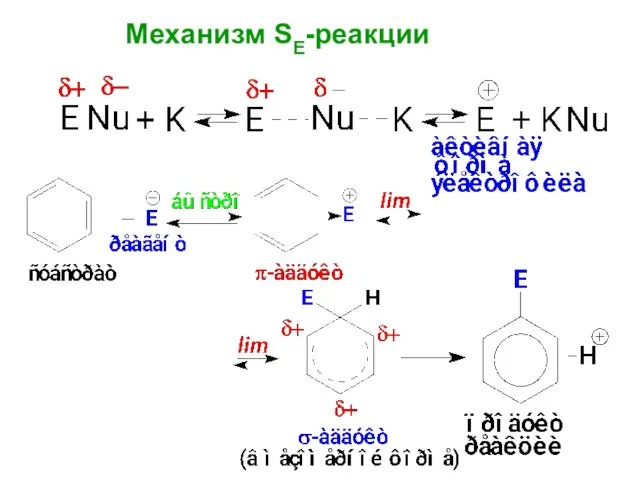 Механизм SE-реакции