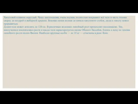 Хвостовой плавник округлый. Чешу циклоиднаяя, очень мелкая, полностью покрывает всё