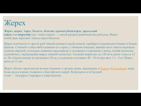 Жерех Жерех, жерих, черех, белесть, белезна, красногубый жерех, аральский же́рех