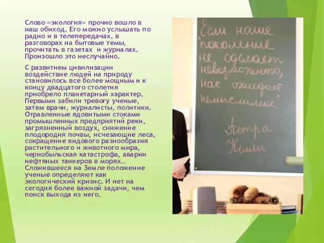 Слово «экология» прочно вошло в наш обиход. Его можно услышать