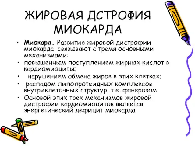 ЖИРОВАЯ ДСТРОФИЯ МИОКАРДА Миокард. Развитие жировой дистрофии миокарда связывают с