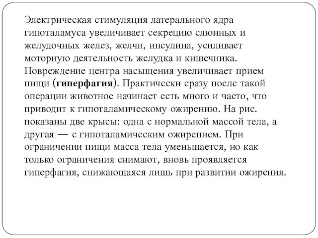 Электрическая стимуляция латерального ядра гипоталамуса увеличивает секрецию слюнных и желудочных