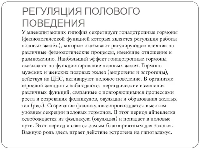 РЕГУЛЯЦИЯ ПОЛОВОГО ПОВЕДЕНИЯ У млекопитающих гипофиз секретирует гонадотропные гормоны (физиологической