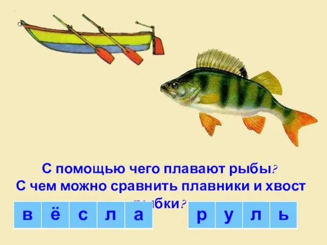 С помощью чего плавают рыбы? С чем можно сравнить плавники