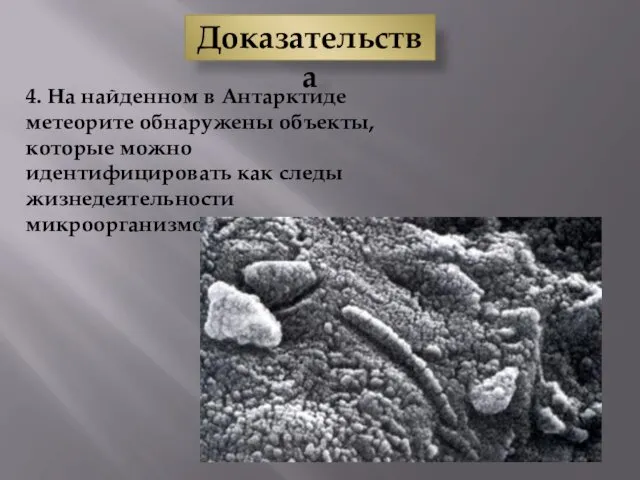 Доказательства 4. На найденном в Антарктиде метеорите обнаружены объекты, которые