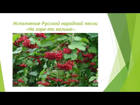 Исполнение Русской народной песни «На горе-то калина».