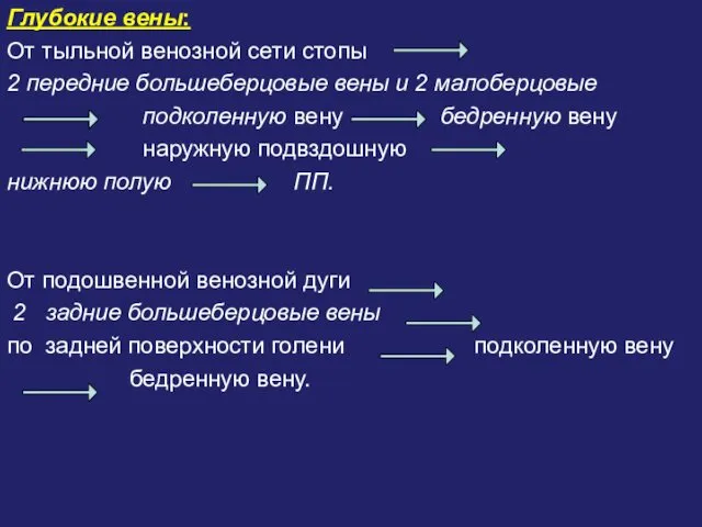 Глубокие вены: От тыльной венозной сети стопы 2 передние большеберцовые