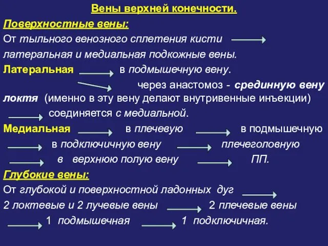 Вены верхней конечности. Поверхностные вены: От тыльного венозного сплетения кисти