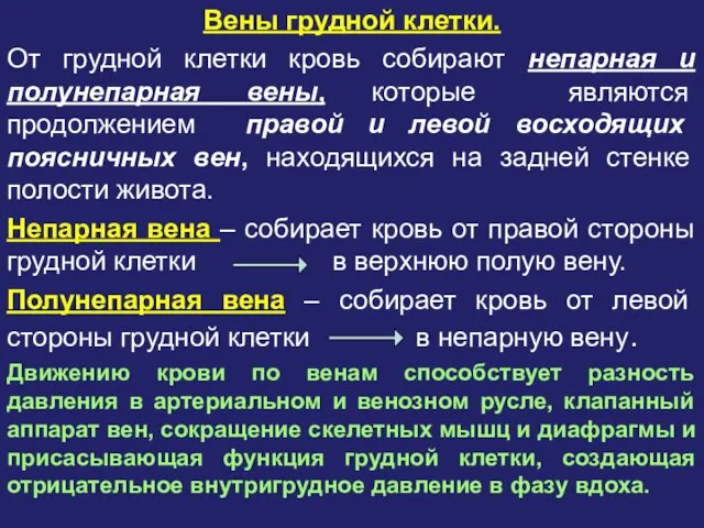 Вены грудной клетки. От грудной клетки кровь собирают непарная и