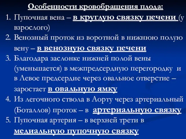 Особенности кровобращения плода: Пупочная вена – в круглую связку печени