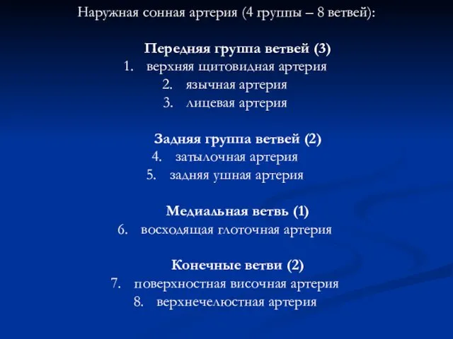 Наружная сонная артерия (4 группы – 8 ветвей): Передняя группа