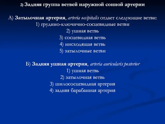 2) Задняя группа ветвей наружной сонной артерии А) Затылочная артерия,