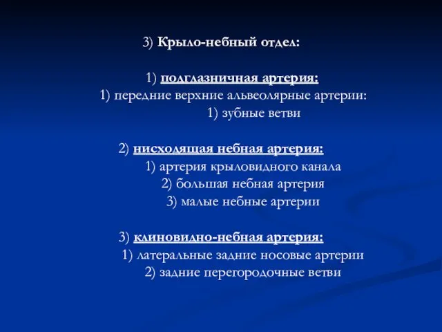 3) Крыло-небный отдел: 1) подглазничная артерия: 1) передние верхние альвеолярные