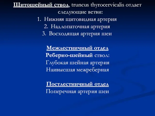 Щитошейный ствол, truncus thyrocervicalis отдает следующие ветви: Нижняя щитовидная артерия