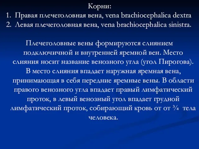 Корни: Правая плечеголовная вена, vena brachiocephalica dextra Левая плечеголовная вена,