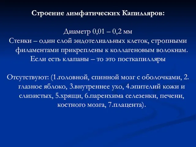 Строение лимфатических Капилляров: Диаметр 0,01 – 0,2 мм Стенки –