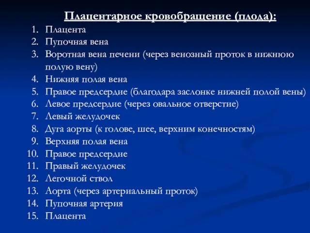 Плацентарное кровобращение (плода): Плацента Пупочная вена Воротная вена печени (через