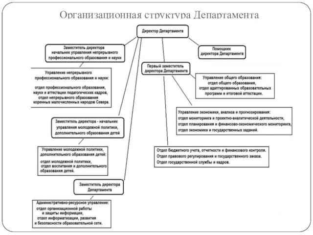 Организационная структура Департамента