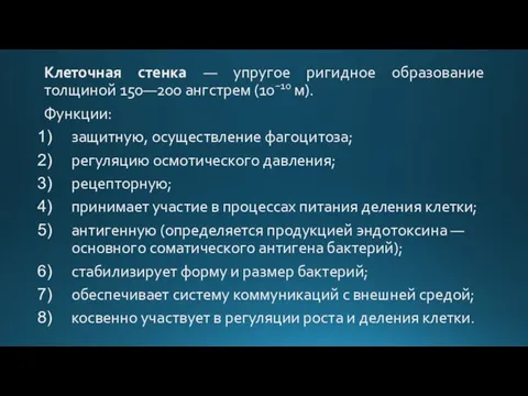 Клеточная стенка — упругое ригидное образование толщиной 150—200 ангстрем (10−10