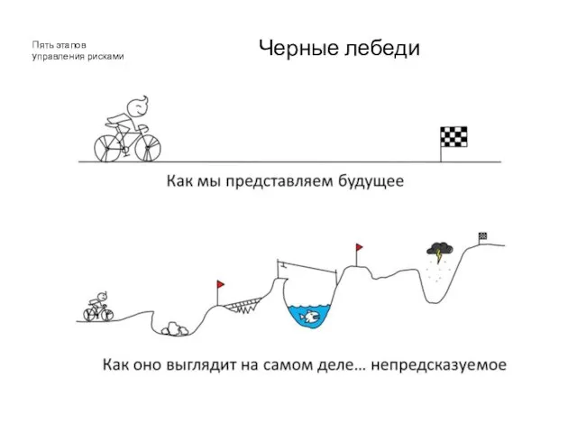 Черные лебеди Пять этапов управления рисками