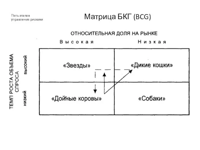 Пять этапов управления рисками Матрица БКГ (BCG)