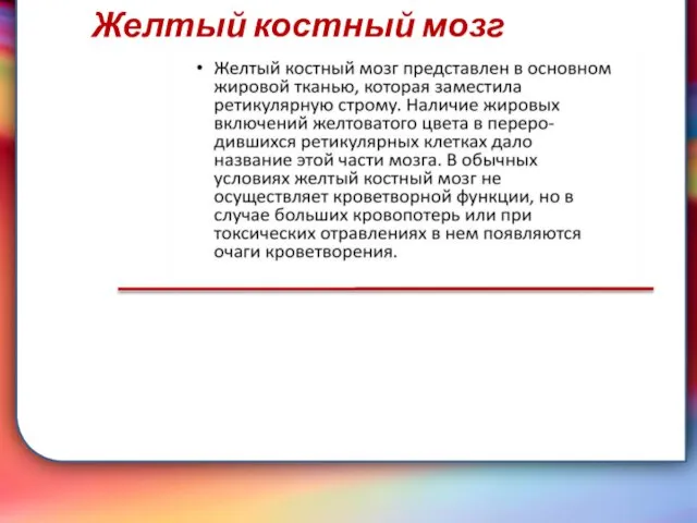 Клапан —, образованная складками его внутренней оболочки, обеспечивает однонаправленный ток