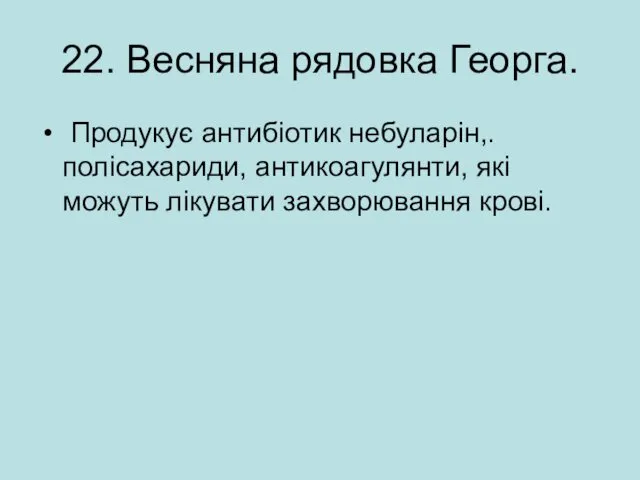 22. Весняна рядовка Георга. Продукує антибіотик небуларін,. полісахариди, антикоагулянти, які можуть лікувати захворювання крові.