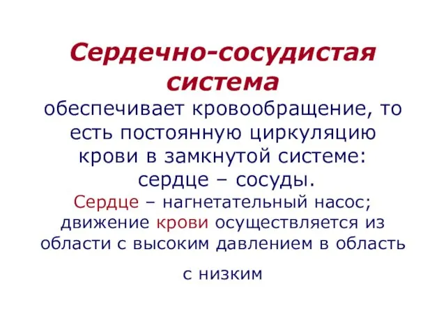 Сердечно-сосудистая система обеспечивает кровообращение, то есть постоянную циркуляцию крови в