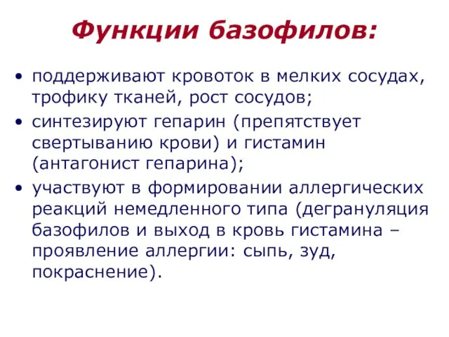 Функции базофилов: поддерживают кровоток в мелких сосудах, трофику тканей, рост