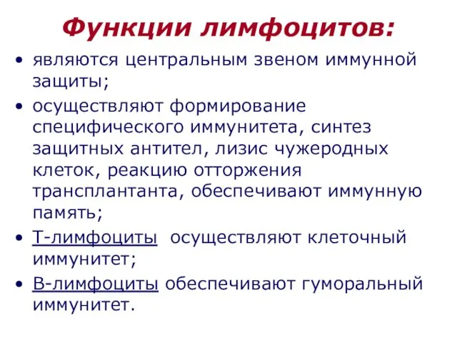 Функции лимфоцитов: являются центральным звеном иммунной защиты; осуществляют формирование специфического