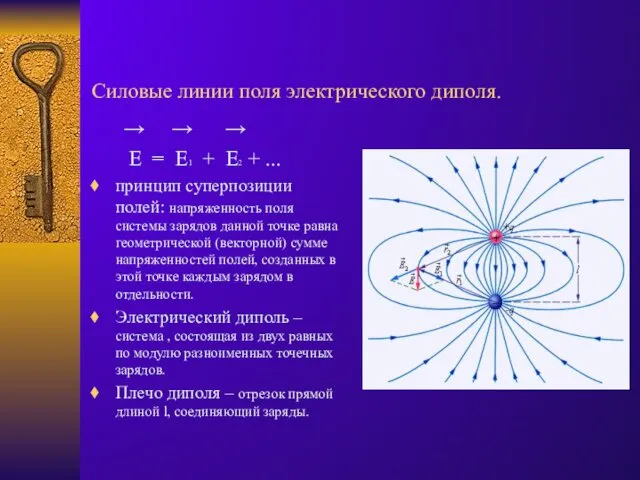 Силовые линии поля электрического диполя. → → → E =