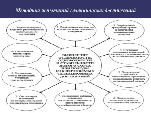 Методика испытаний селекционных достижений