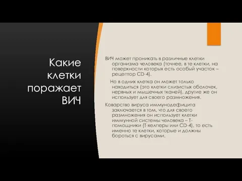 Какие клетки поражает ВИЧ ВИЧ может проникать в различные клетки