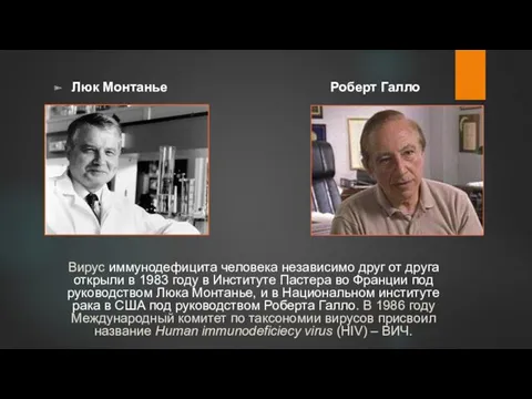 Люк Монтанье Роберт Галло Вирус иммунодефицита человека независимо друг от