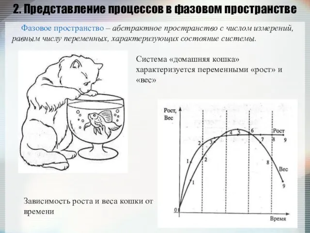 2. Представление процессов в фазовом пространстве Фазовое пространство – абстрактное