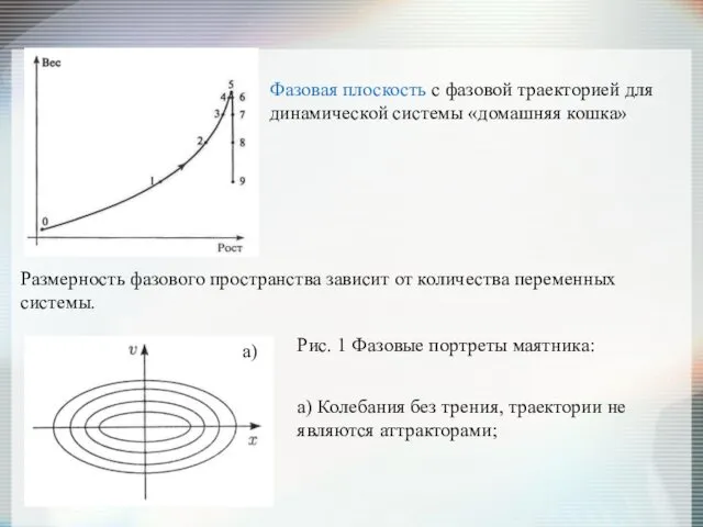 Размерность фазового пространства зависит от количества переменных системы. а) Колебания без трения, траектории