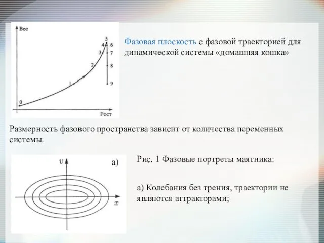 Размерность фазового пространства зависит от количества переменных системы. а) Колебания