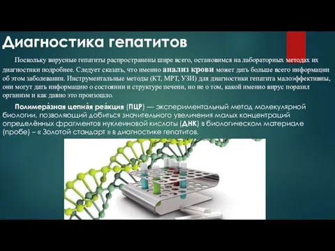 Диагностика гепатитов Поскольку вирусные гепатиты распространены шире всего, остановимся на лабораторных методах их