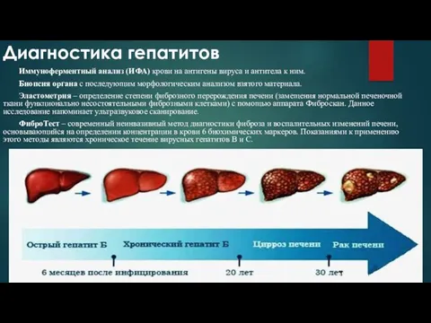 Диагностика гепатитов Иммуноферментный анализ (ИФА) крови на антигены вируса и антитела к ним.