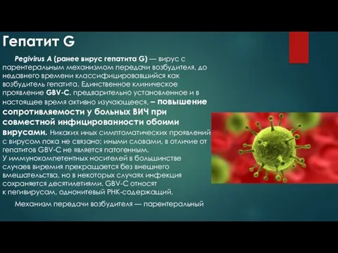 Гепатит G Pegivirus A (ранее вирус гепатита G) — вирус с парентеральным механизмом