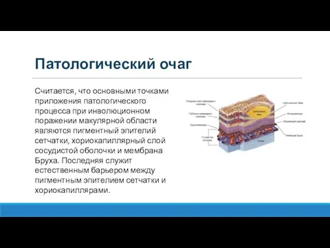 Патологический очаг Считается, что основными точками приложения патологического процесса при