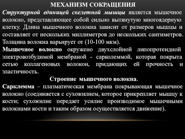 МЕХАНИЗМ СОКРАЩЕНИЯ Структурной единицей скелетной мышцы является мышечное волокно, представляющее