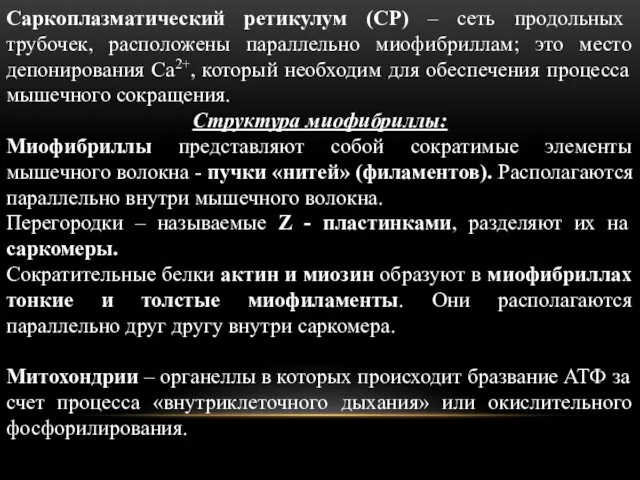 Саркоплазматический ретикулум (СР) – сеть продольных трубочек, расположены параллельно миофибриллам;