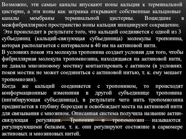 Возможно, эти самые каналы впускают ионы кальция к терминаль­ной цистерне,