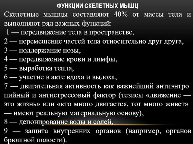 ФУНКЦИИ СКЕЛЕТНЫХ МЫШЦ Скелетные мышцы составляют 40% от массы тела