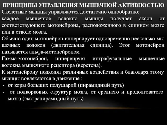 ПРИНЦИПЫ УПРАВЛЕНИЯ МЫШЕЧНОЙ АКТИВНОСТЬЮ Скелетные мышцы управляются достаточно однообразно: каждое