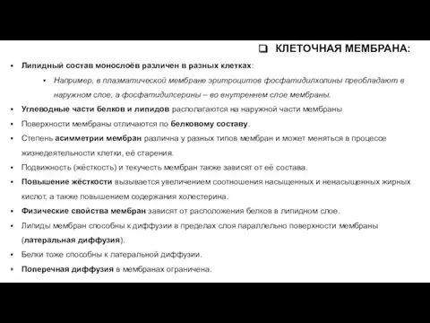 Липидный состав монослоёв различен в разных клетках: Например, в плазматической