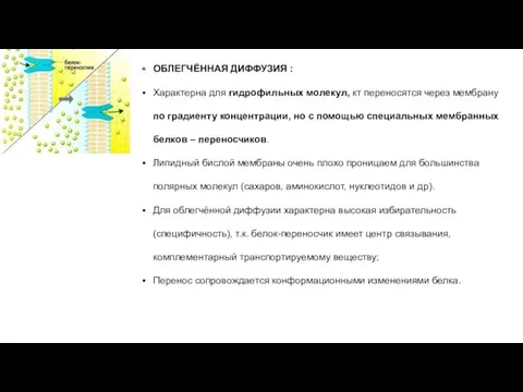 ОБЛЕГЧЁННАЯ ДИФФУЗИЯ : Характерна для гидрофильных молекул, кт переносятся через