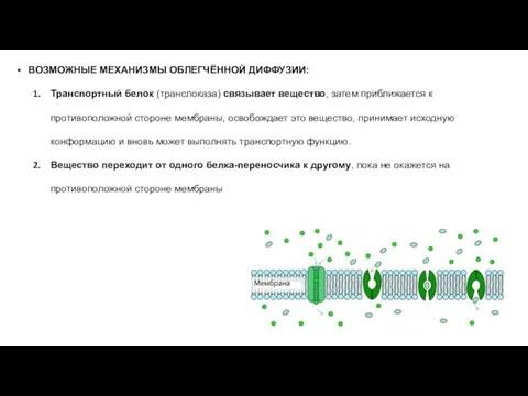 ВОЗМОЖНЫЕ МЕХАНИЗМЫ ОБЛЕГЧЁННОЙ ДИФФУЗИИ: Транспортный белок (транслоказа) связывает вещество, затем