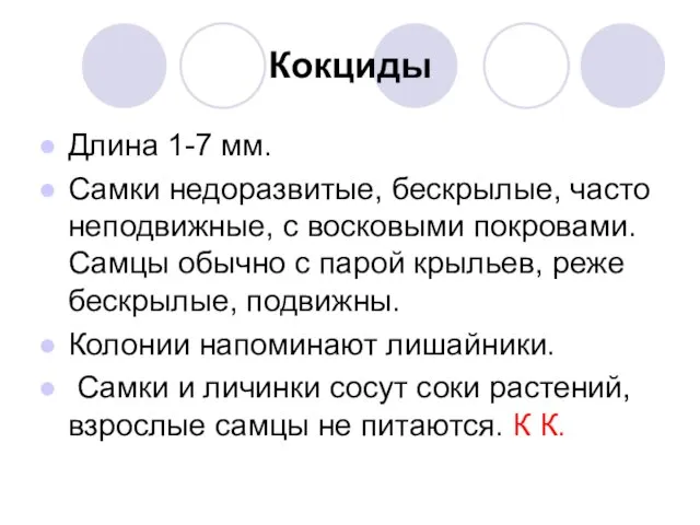 Кокциды Длина 1-7 мм. Самки недоразвитые, бескрылые, часто неподвижные, с